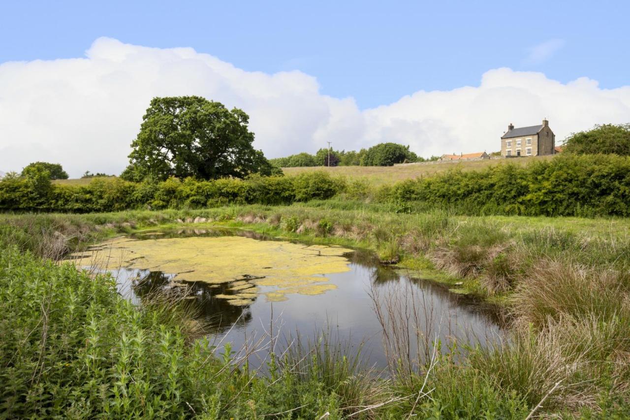 Thirley Cotes Farm Cottages 스카버러 외부 사진